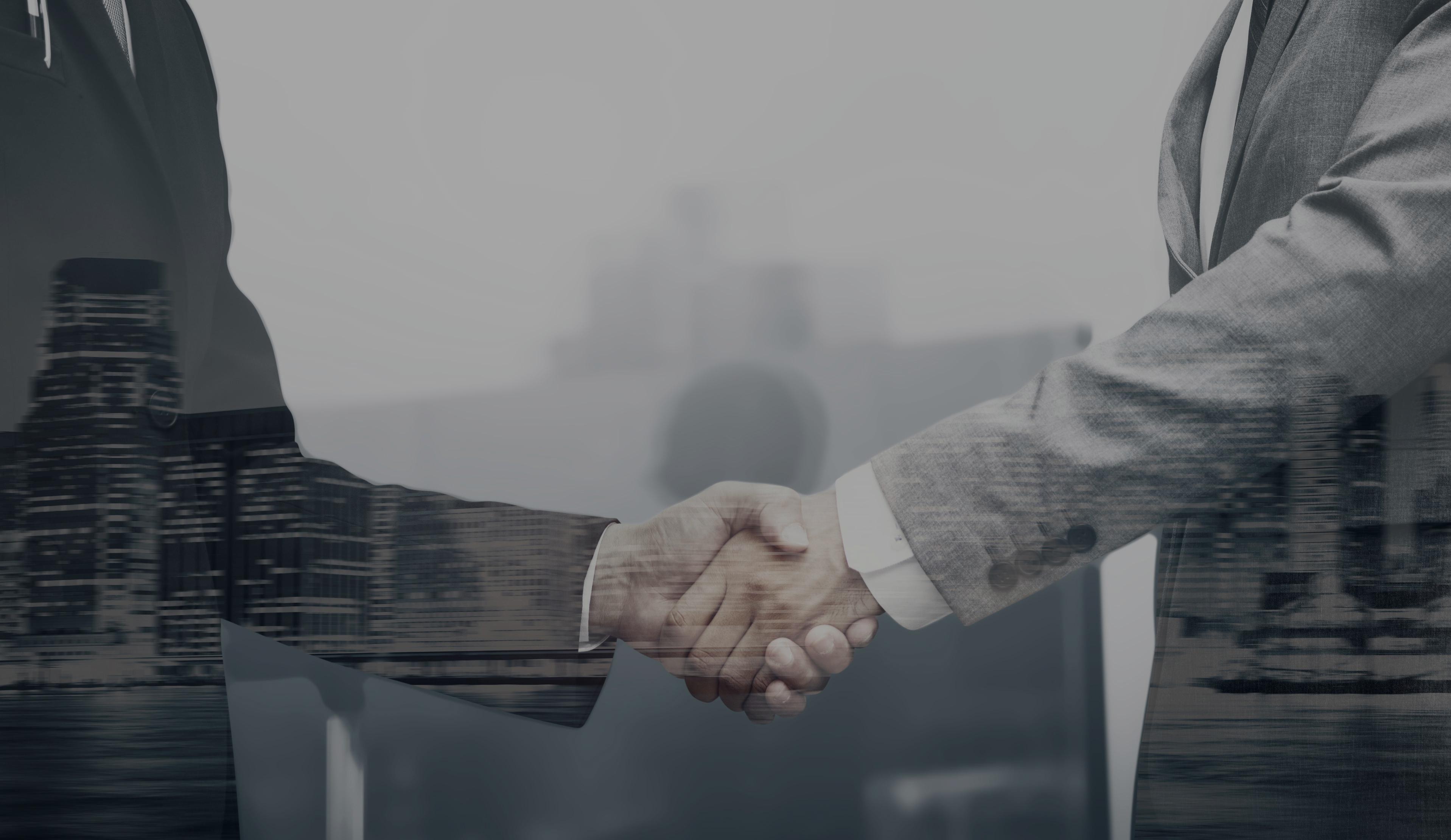 business-partners-handshake-international-business-concept.jpg (1.38 MB)